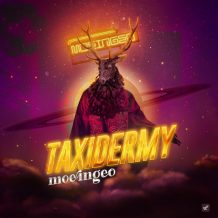 دانلود آهنگ جدید معین ژئو به نام تاکسیدرمی